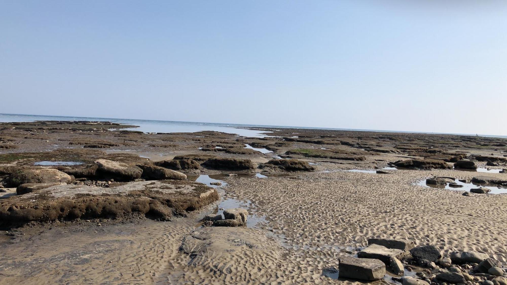 Villa Billie'S Seaside Retreat Lyme Regis Esterno foto